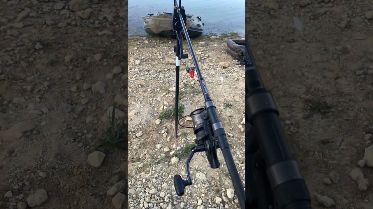 Big Carp Run am gro&szlig;en blauen 🤩 #shorts #carprun #carpfishing