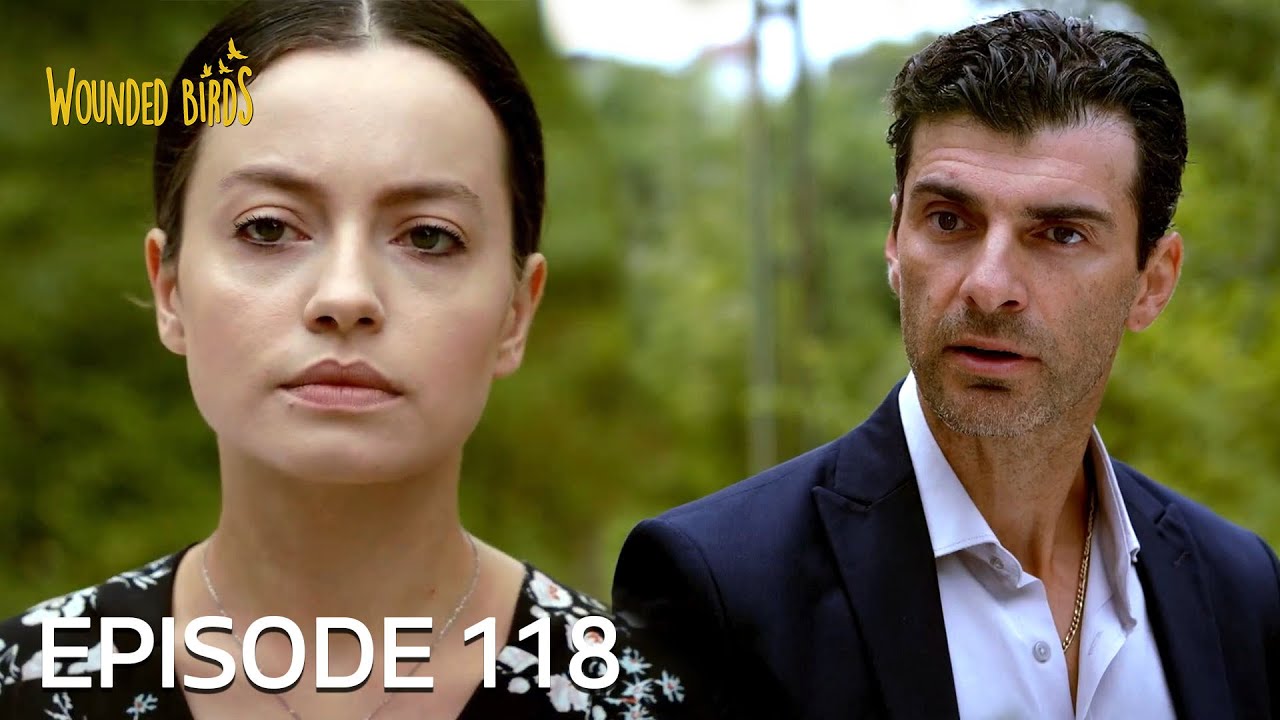 Wounded Birds | Episode 118