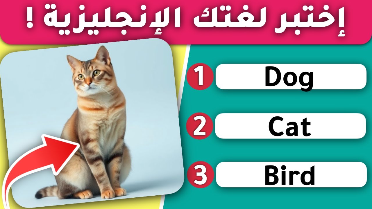 هل تستطيع معرفة 30 كلمة من اللغة الانجليزية ؟ أثبت مهارتك الان واختبر مستواك الانجليزي في هذا التحدي