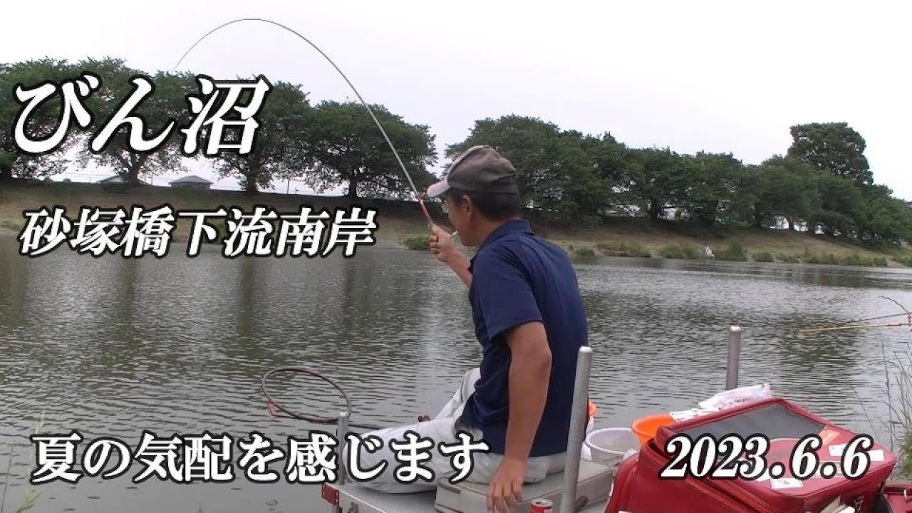 びん沼も夏の気配になってきました！！【びん沼砂塚橋下流】2023.6.6