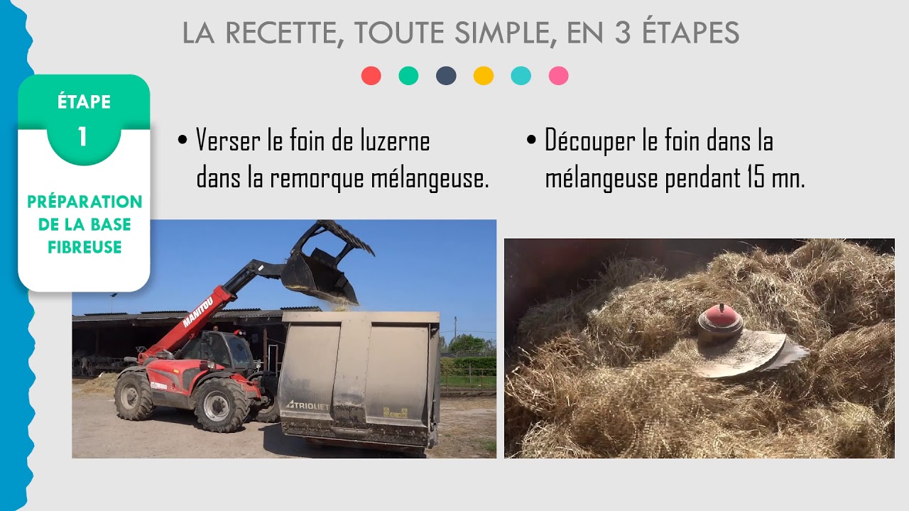 Un mash fermier pour les génisses: la recette des Trinottières