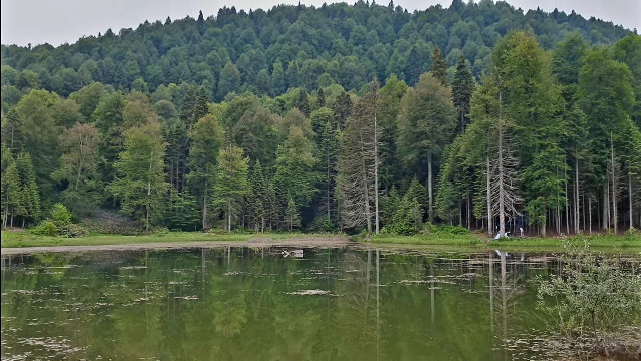 Karagöl Yaylası,Sultanpınar ve Torkul Göleti Kampı,Muhteşem Manzaralar ve Yol Durumları