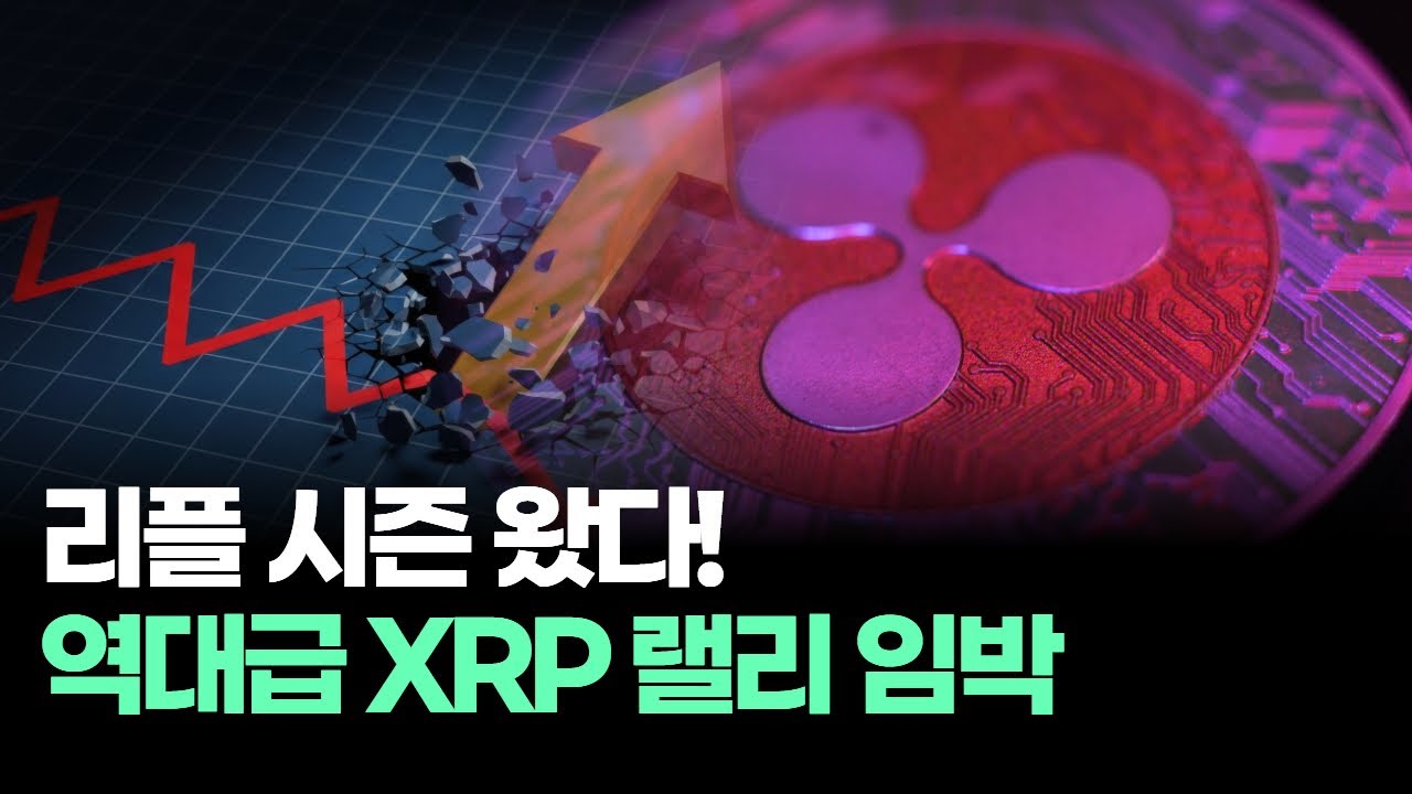 리플 시즌 왔다! 역대급 XRP 랠리 임박