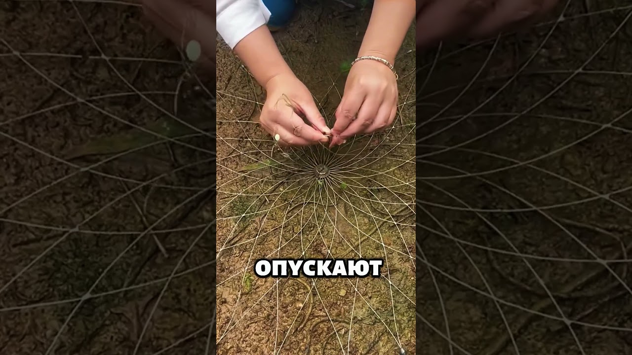 Секретная рыболовная ловушка Вьетнама: её работа просто невероятна!