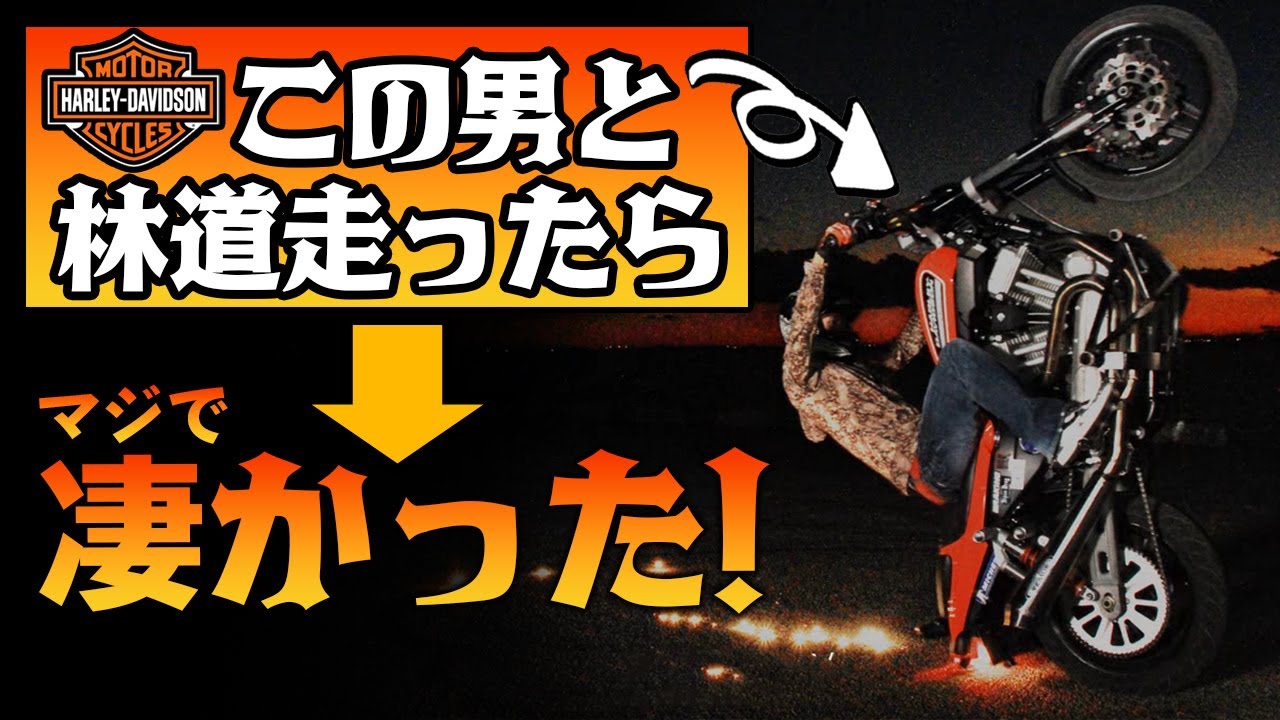 【爆笑林道ツーリング】プロのハーレー乗りがオフロードを走るとどうなる？ #林道オフロードバラエティ #OGAチャンネル #エンデューロ