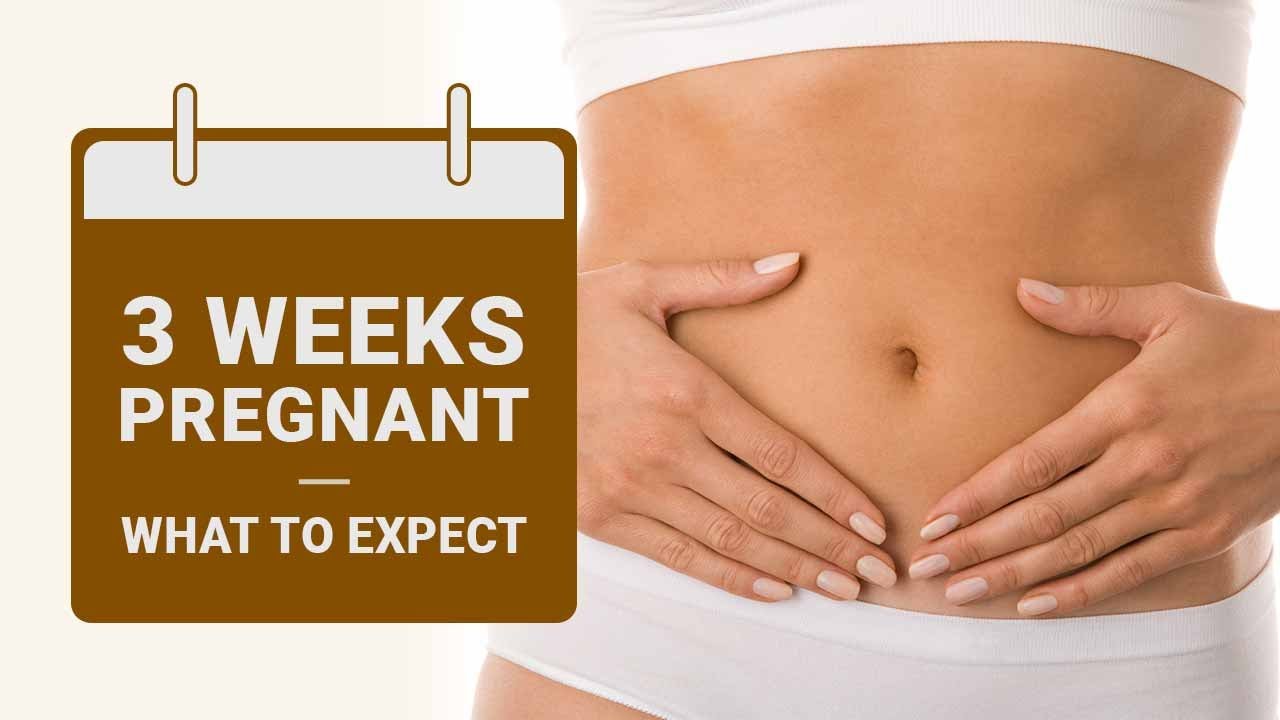 3 Weeks Pregnant | 3 Weeks Pregnant Symptoms | Pregnancy Week by Week