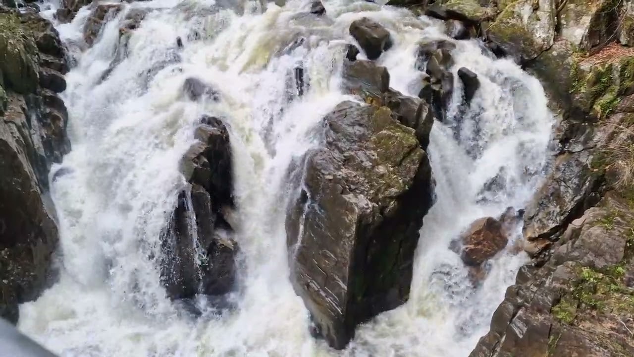 The Waterfall at The Hermitage in Dunkeld