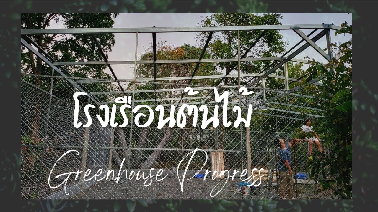 Ep2 โรงเรือน​​ ต้นไม้ Greenhouse สร้างโรงเรือน​ไม้ใบ โคโลคาเซีย​ ฟิโลเดนดรอน​ มอนสเตอร่า​ ไม้ด่าง