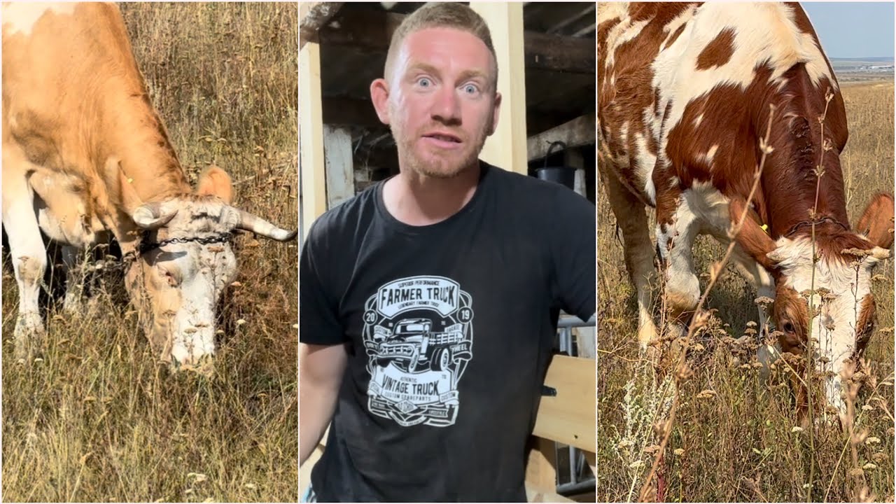 🤬🤬🤬🤬🤬МОИ НЕРВЫ НА ИСХОДЕ 