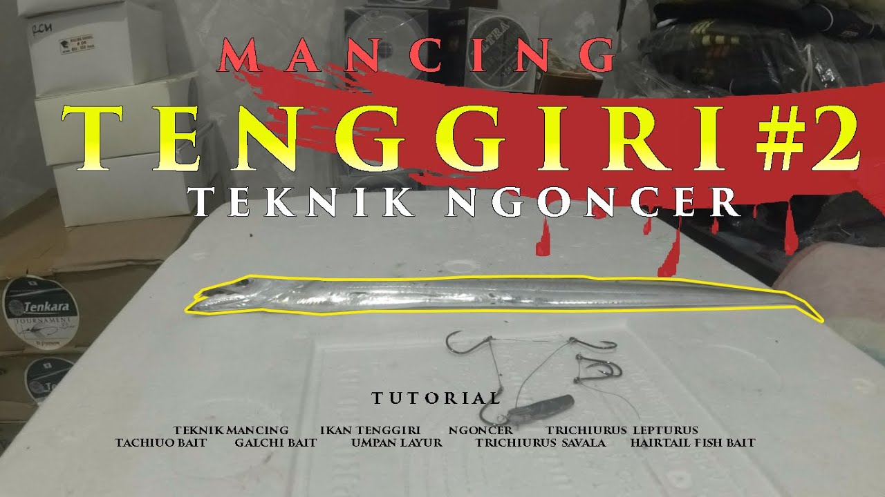 ❗ TUTORIAL ❗ Teknik Mancing Tenggiri Part 2 | Ngoncer Layur