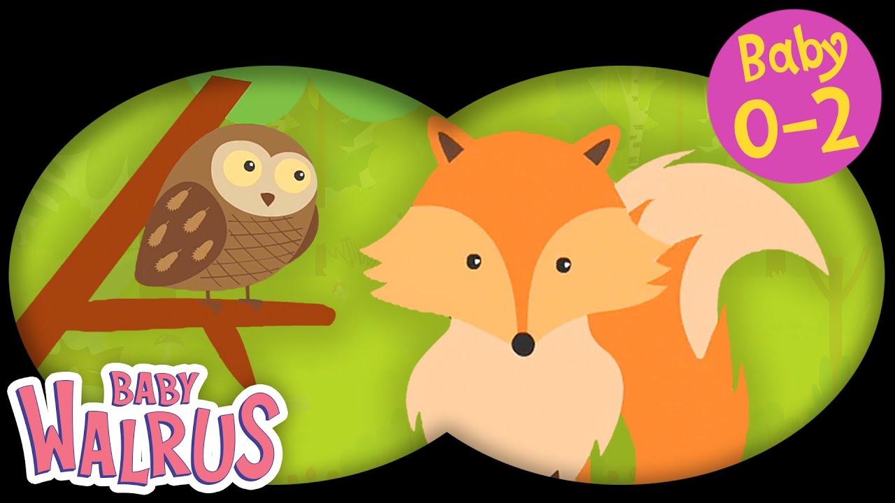 Guck-Guck #1 | Wald Tiere | Lernserien f&uuml;r Babys 0-2