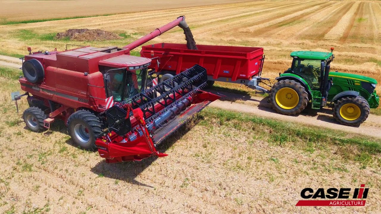 Superbe Case IH 2377 dans les colzas 2025🇺🇸🦅