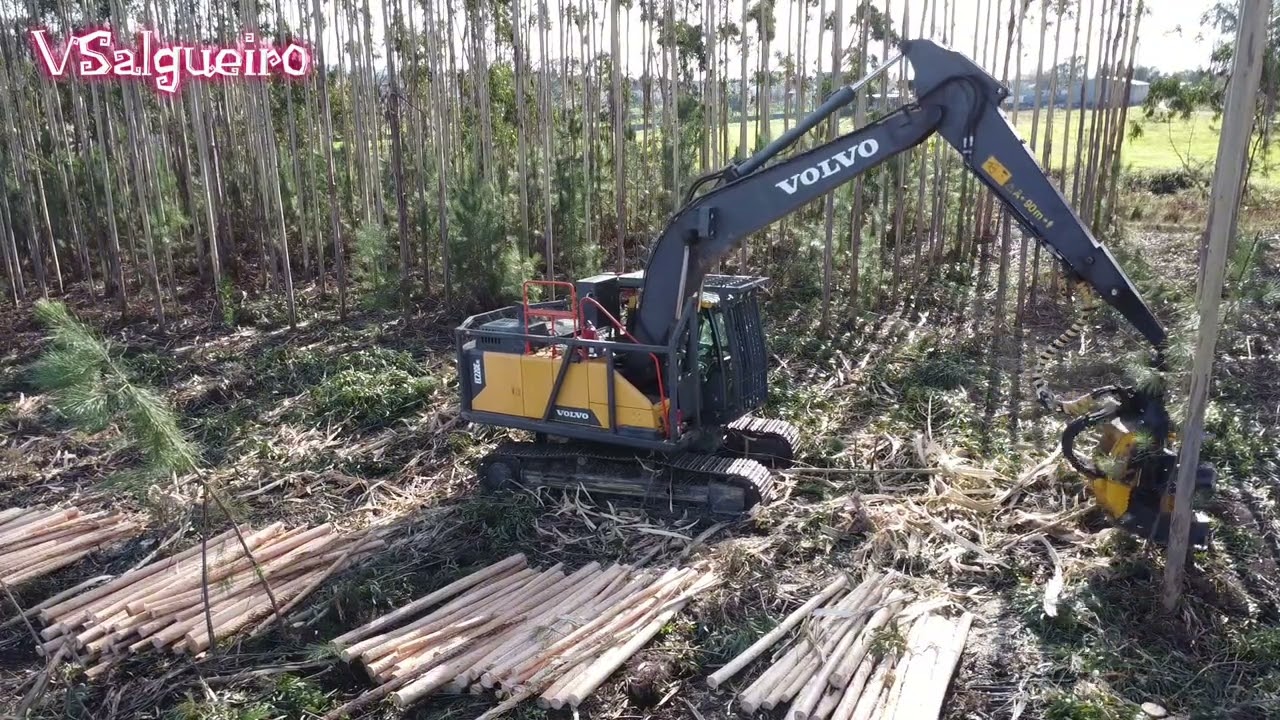 Volvo 220,Ponsse H7 euca