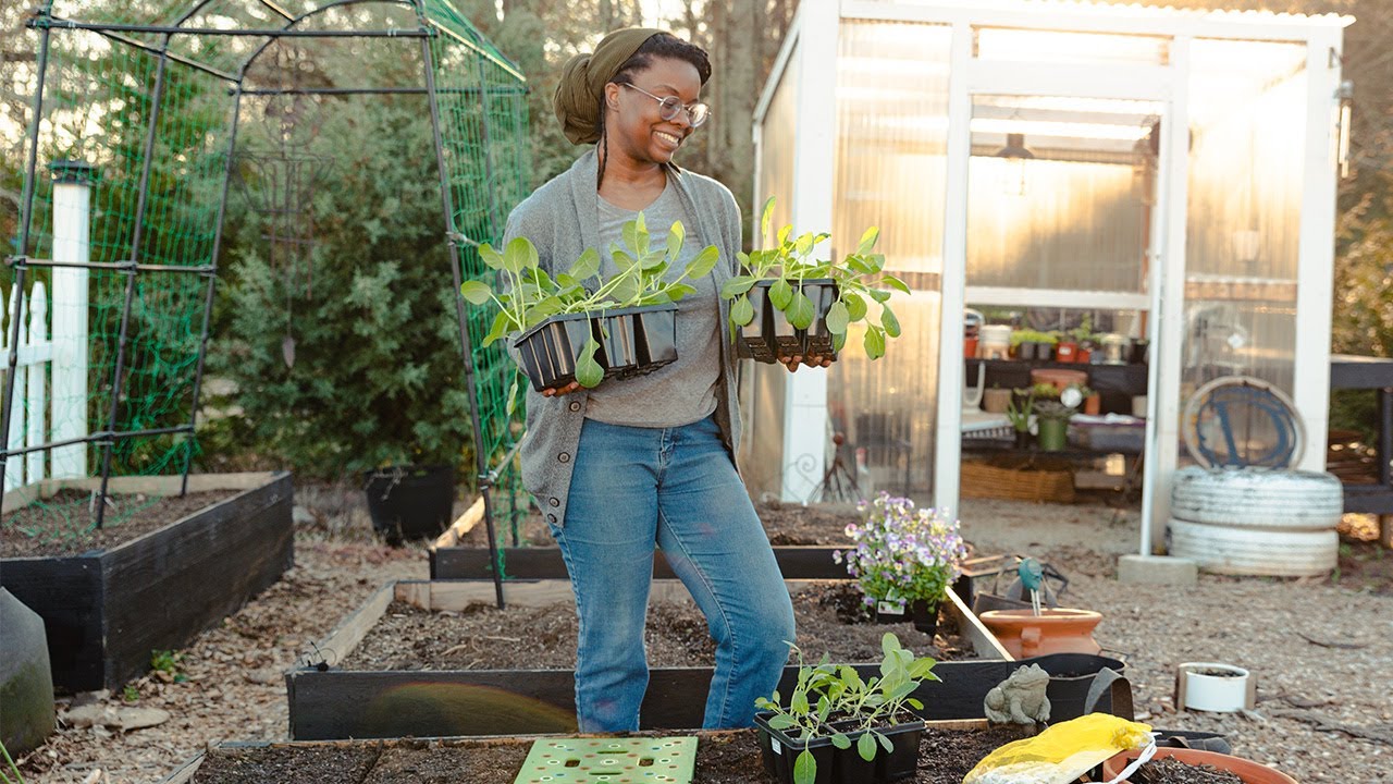 Planting Peacefully as the Sun Sets: Onions, Cauliflower, Collards, & Cabbage 🧅🥬