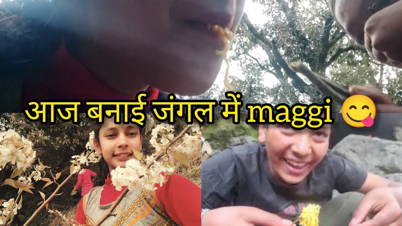 आज बनाई पहाड़ों की maggi 😋। Ending unexpected thi yrr 😱 । #vlog #dailyvlog #pahadilifestyle 
