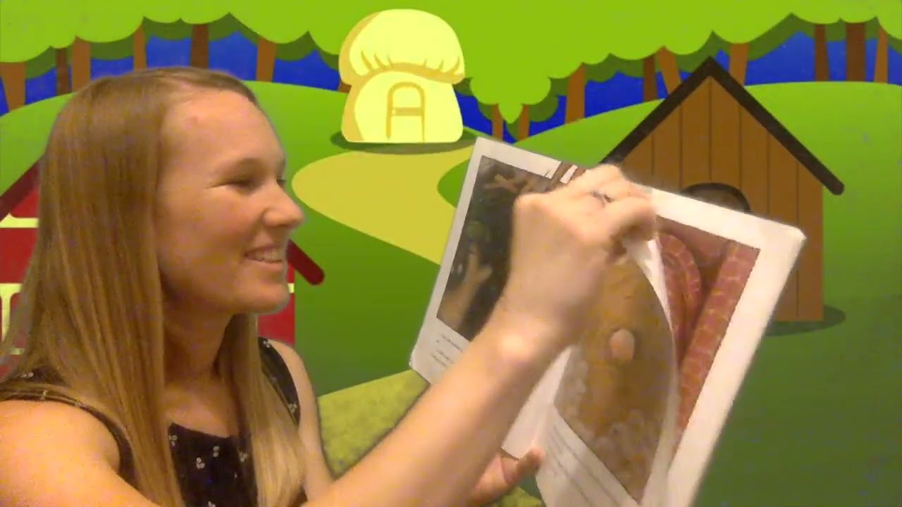 The True Story of the 3 Little Pigs! - Read Aloud