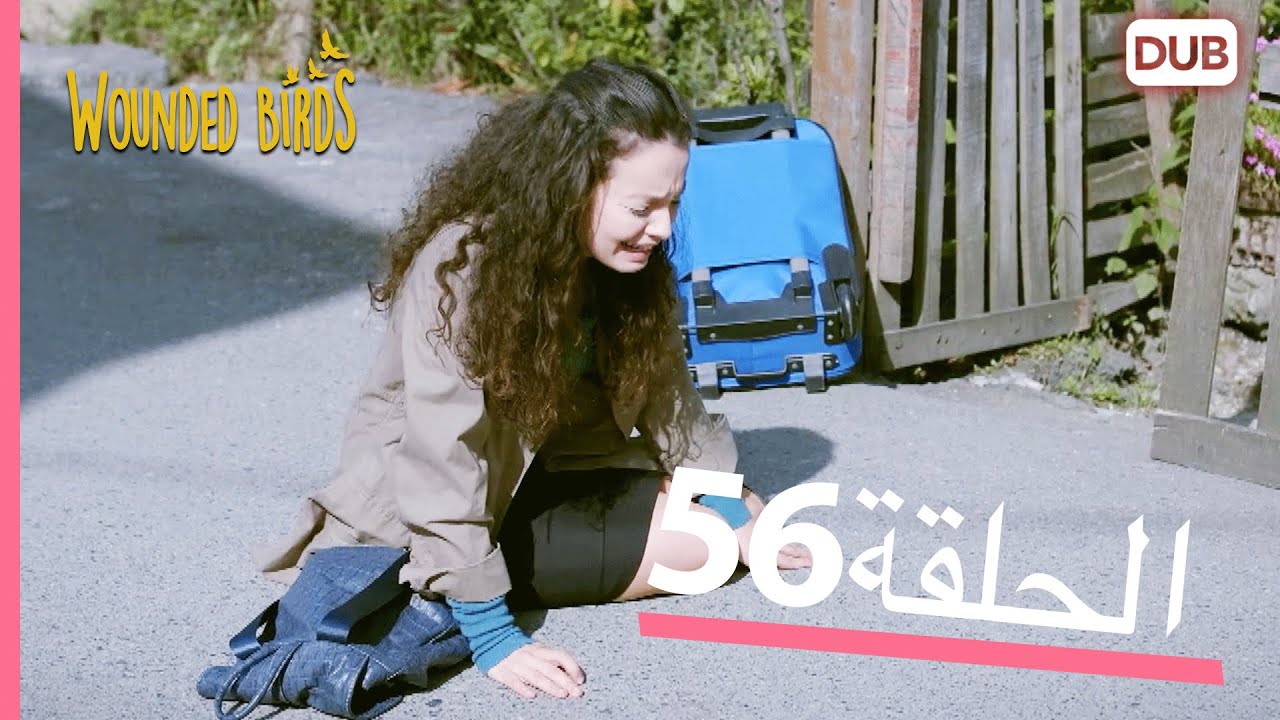 الطيور الجريحة | الحلقة الكاملة 56 |  مدبلج عربي