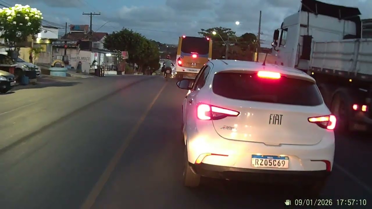 Motorista mexendo no celular parte 2