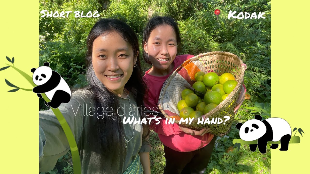 Village diaries citrus 🍊 