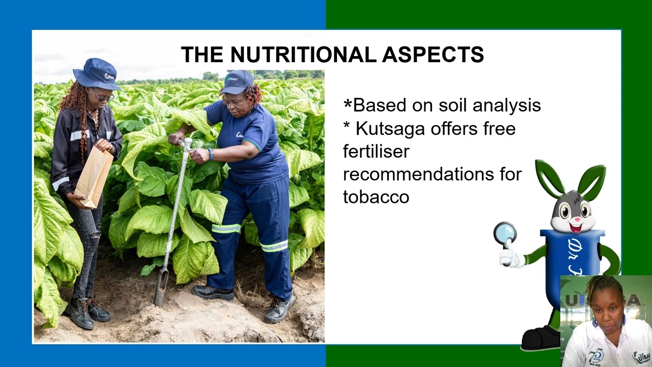 Transplanting The Irrigated Crop