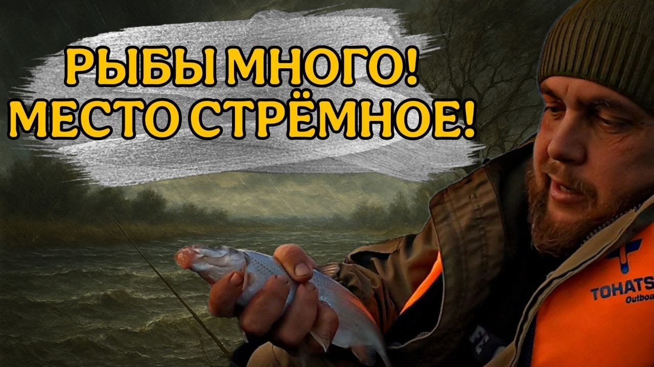 РЫБЕЦ ПОШЕЛ / РЫБАЛКА В НЕ ЛЮБИМОМ МЕСТЕ