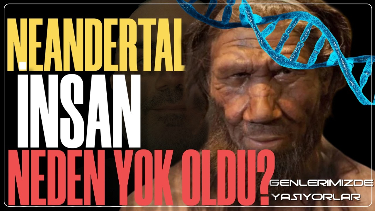 Neandertaller Neden Yok Oldu? Bilimin Şaşırtıcı Cevabı