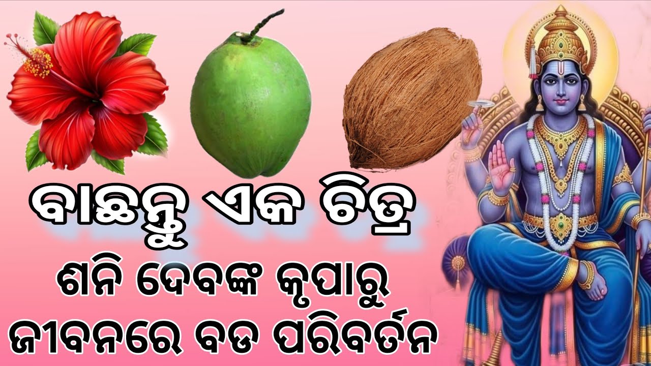 💐ଶୁଭ କାର୍ଯ୍ୟ ଆରମ୍ଭ ହଉଛି ତୁମ ଜୀବନରେ🫵DAILY RASIPHAL ODIA✅TIMELESS ODIA TAROT CARD READING 