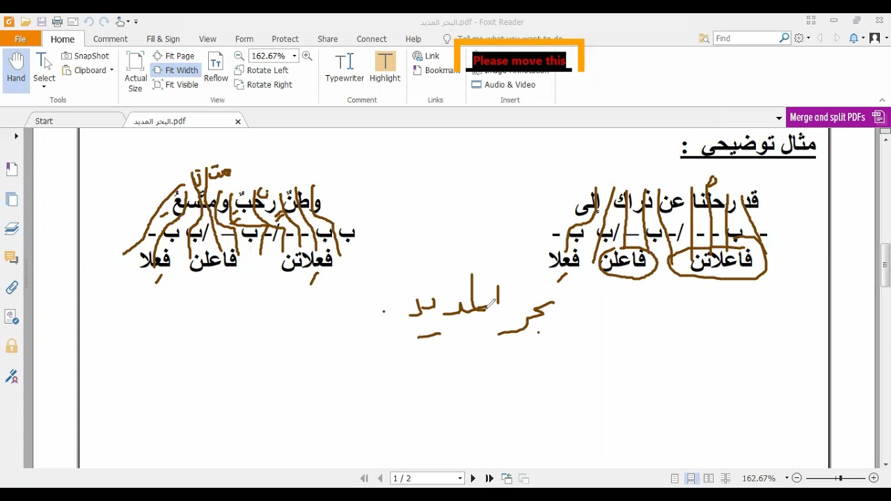 بحر المديد