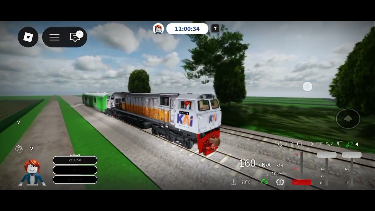 Main nusarail
