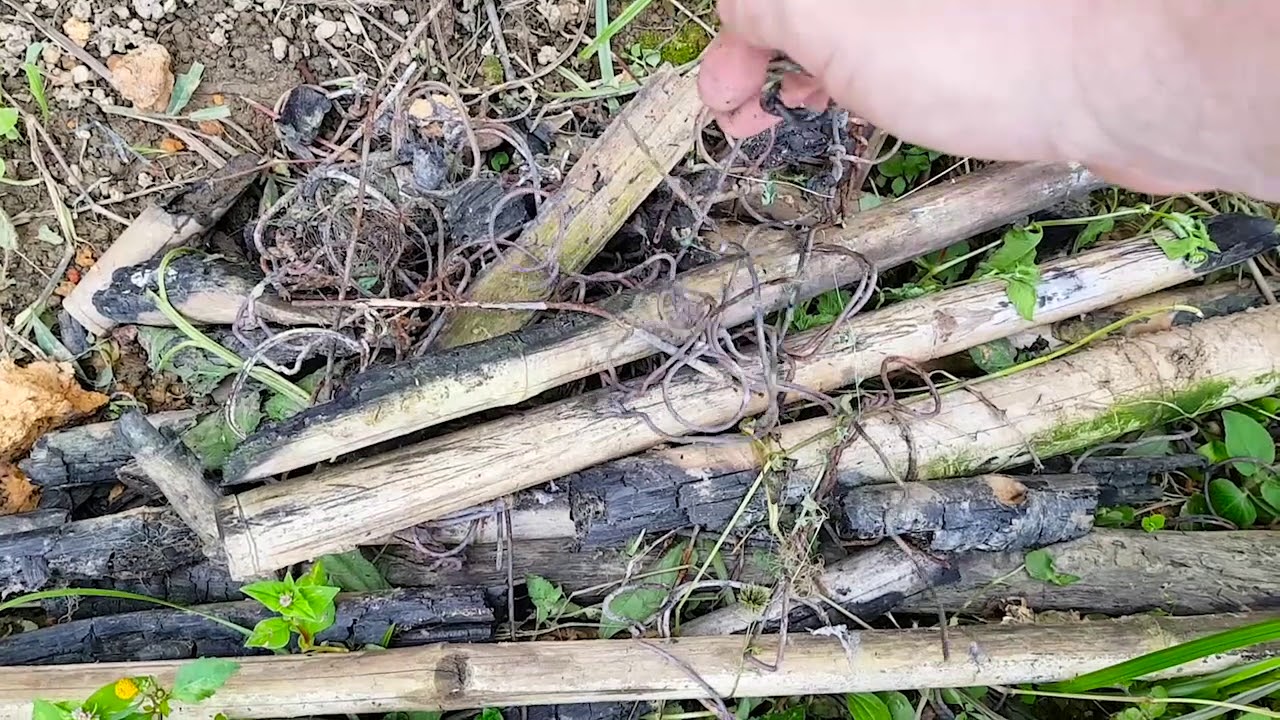 Extreme Gardening Ep4
