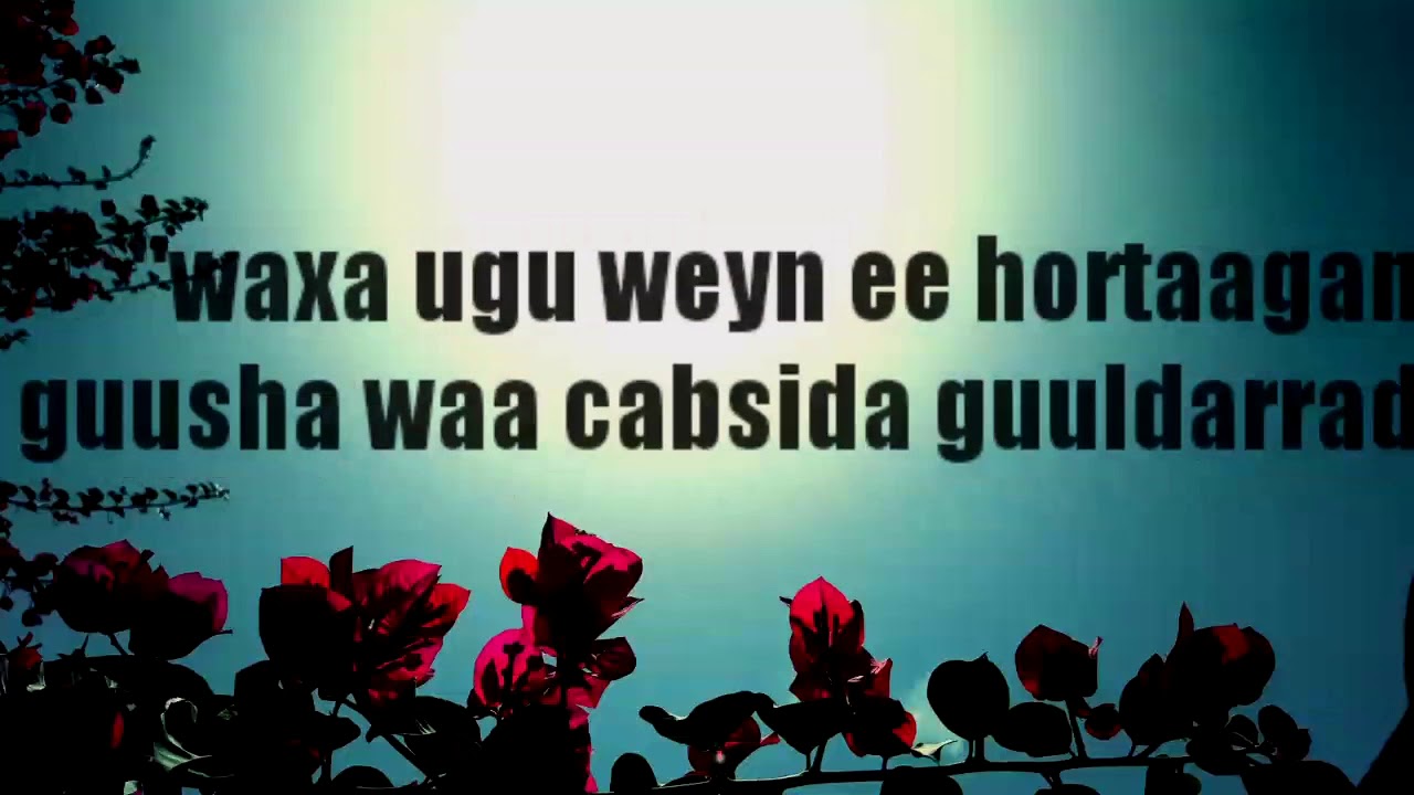 Ha cabsan !