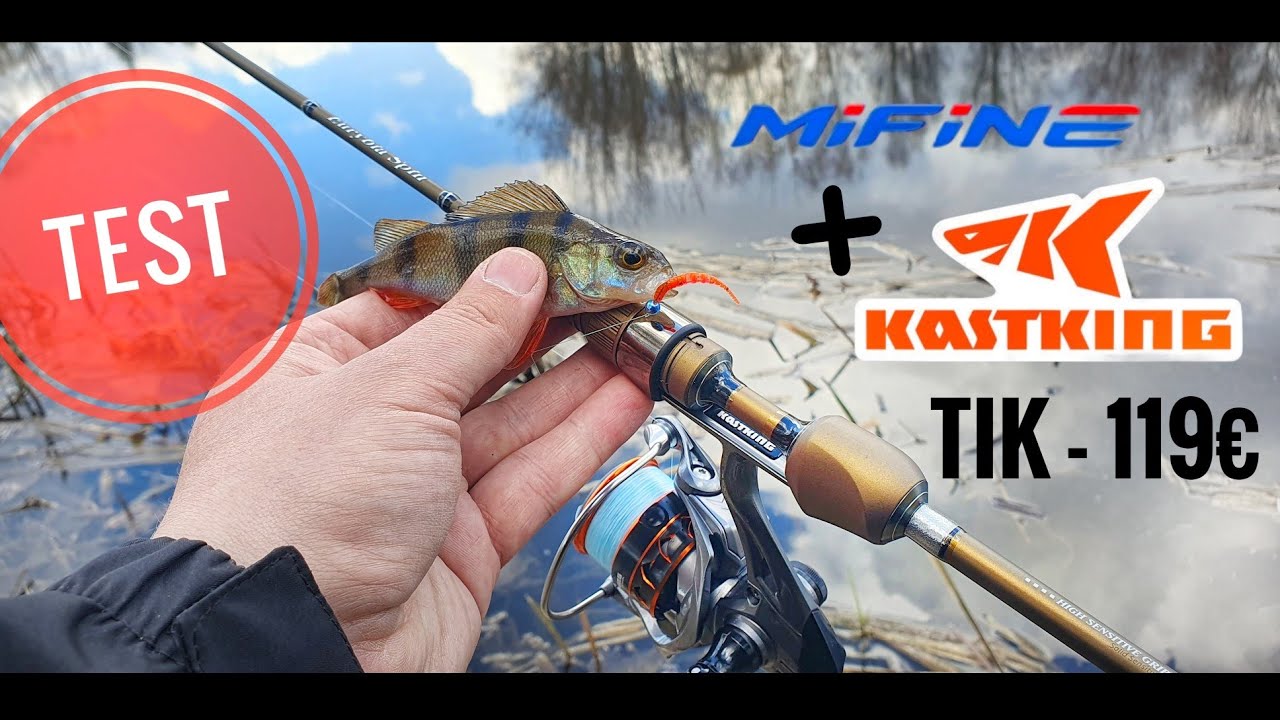 Avižadrebis - Mifine Eurybia & KastKing Kestrel