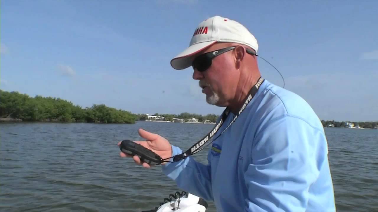 Minn Kota i Pilot Wireless GPS Trolling System Accessory