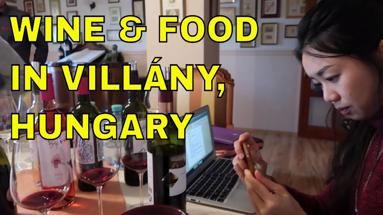 Hungarian Cabernet Franc: Exotic Wine Travel in Vill&aacute;ny