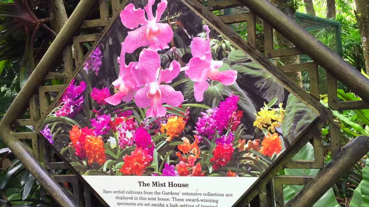 National Orchid Garden Singapore - Botanic Gardens