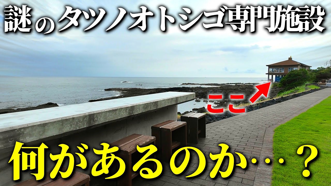 謎すぎるタツノオトシゴ専門施設に行ってみました｜タツノオトシゴハウス【水族館マニア徹底解説】