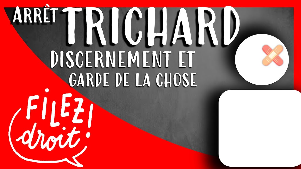 Arrêt Trichard, 2ème ch. civ., 18 dec. 1964 - Altération du discernement et garde de la chose