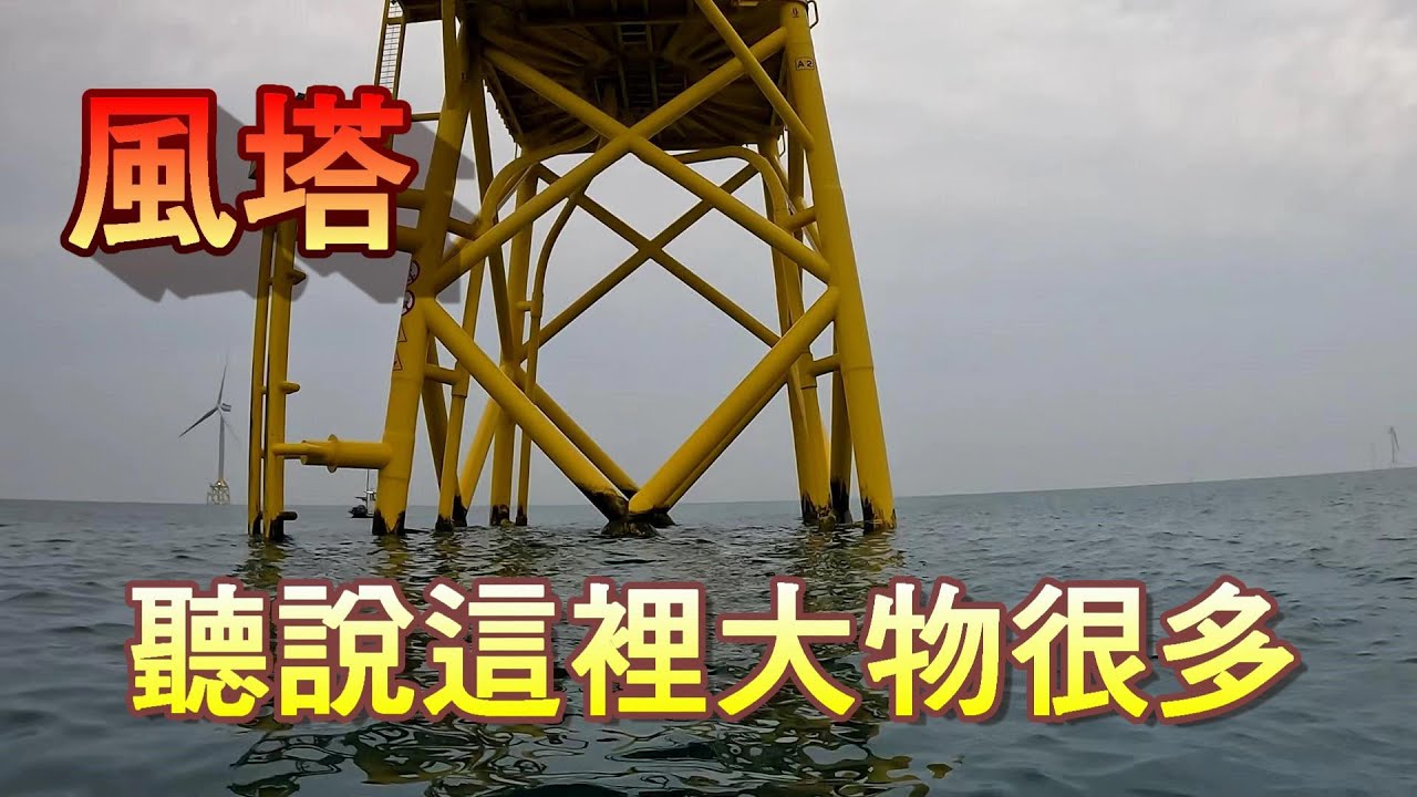 有錢吃鮸 沒錢鮸吃 !! 每竿都凹! 釣到你會笑又會哭!