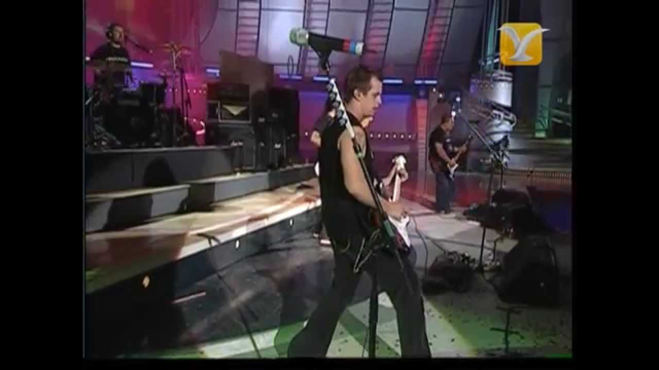 Molotov - Frijolero - Festival de Viña del Mar 2004