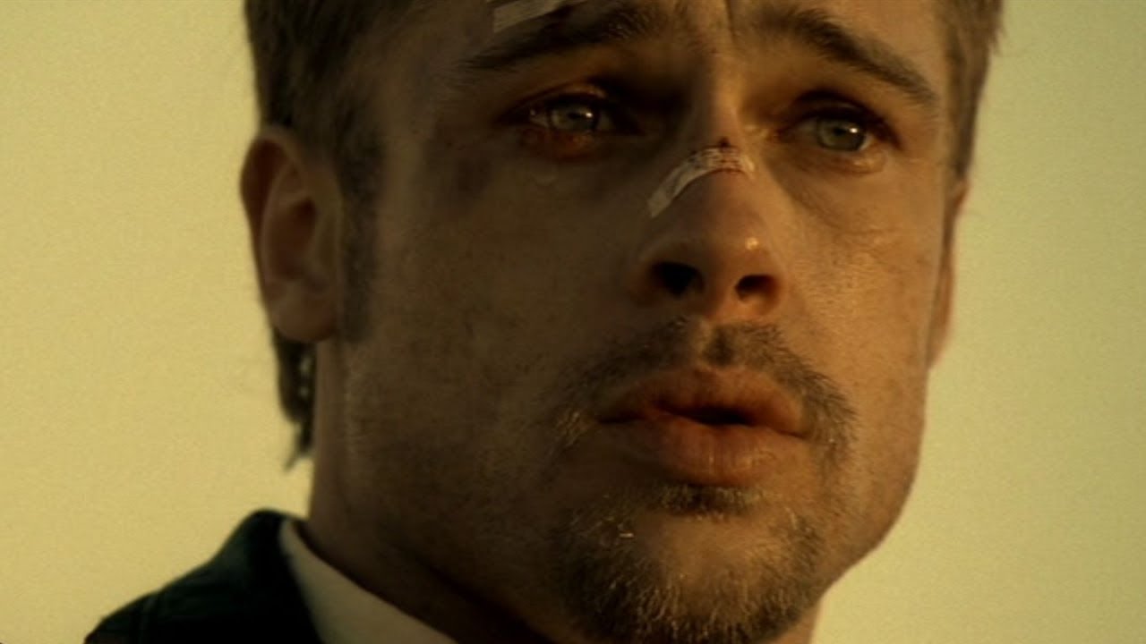 Relationships that come from monkey branching | Relearning Relationships