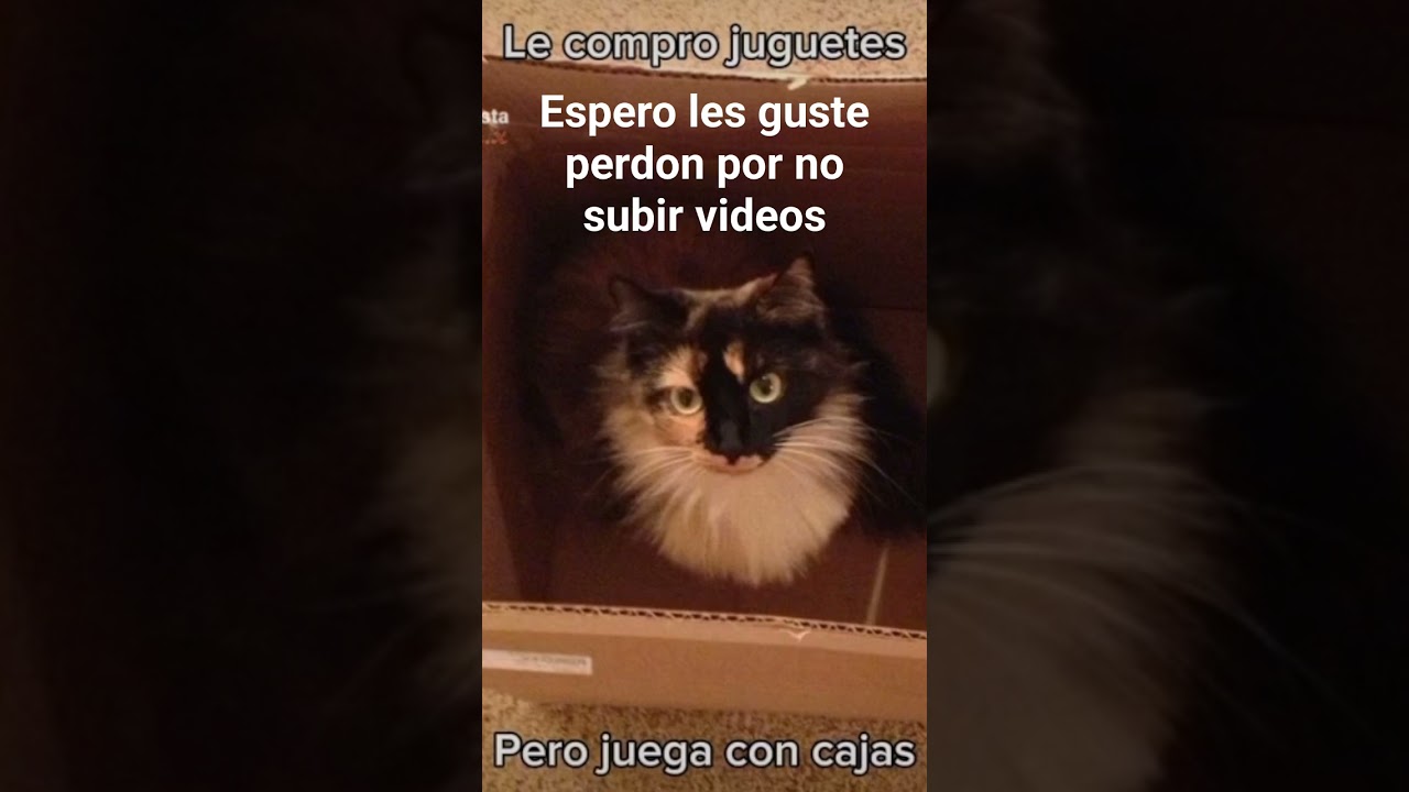 cuanto paptitas