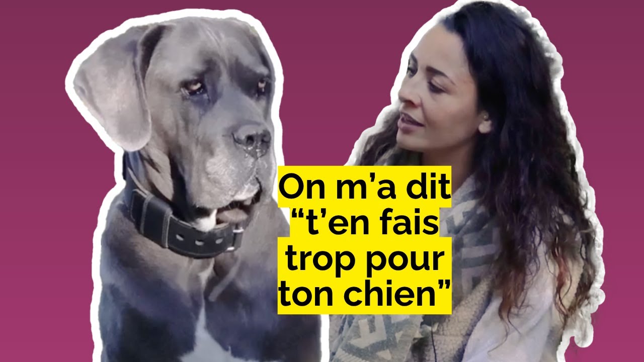 Histoires de chiens : Laïka et Léa