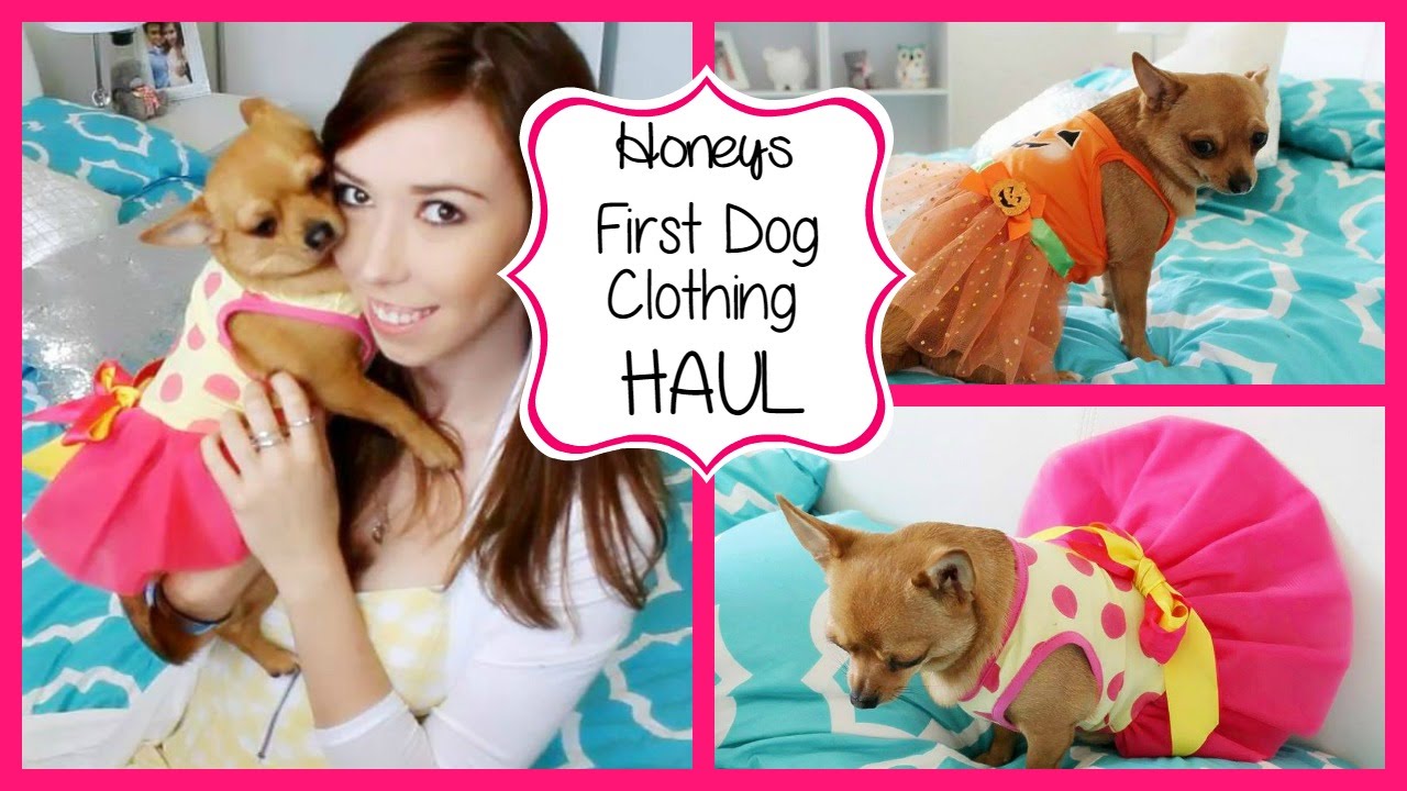 First Dog Clothing Haul ♡ Honey