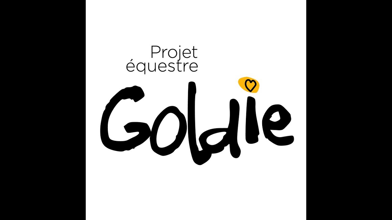 Projet équestre Goldie équitation thérapeutique pour enfants différents