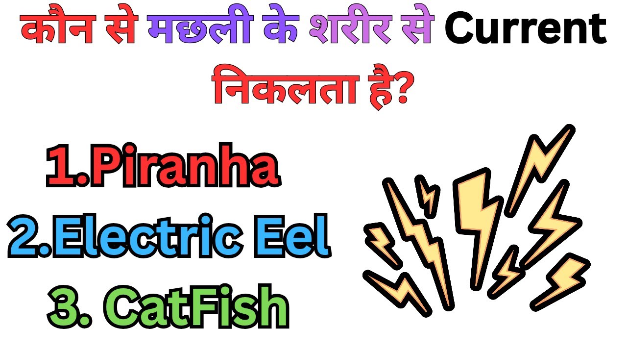 || Day 2 || GK Questions || GK in Hindi || GK Videos ||
