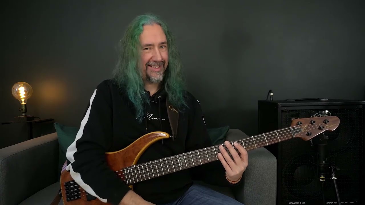 EBS Magni 502 2x10 Combo Review Video #ebs #danveall