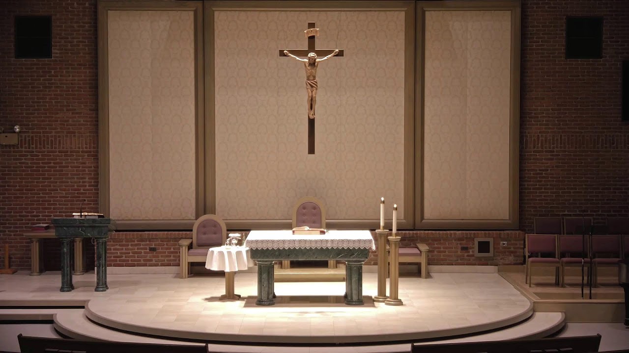 Corpus Christi Live