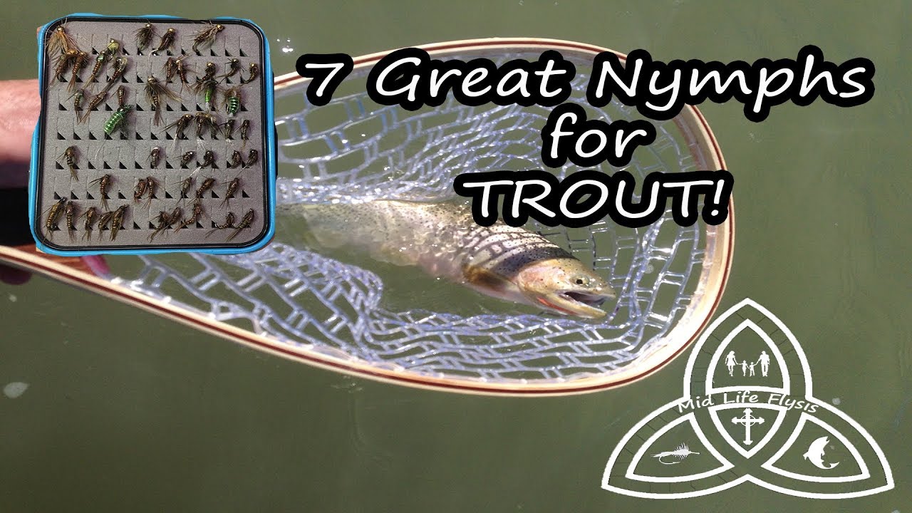 7 Best Nymphs for Trout