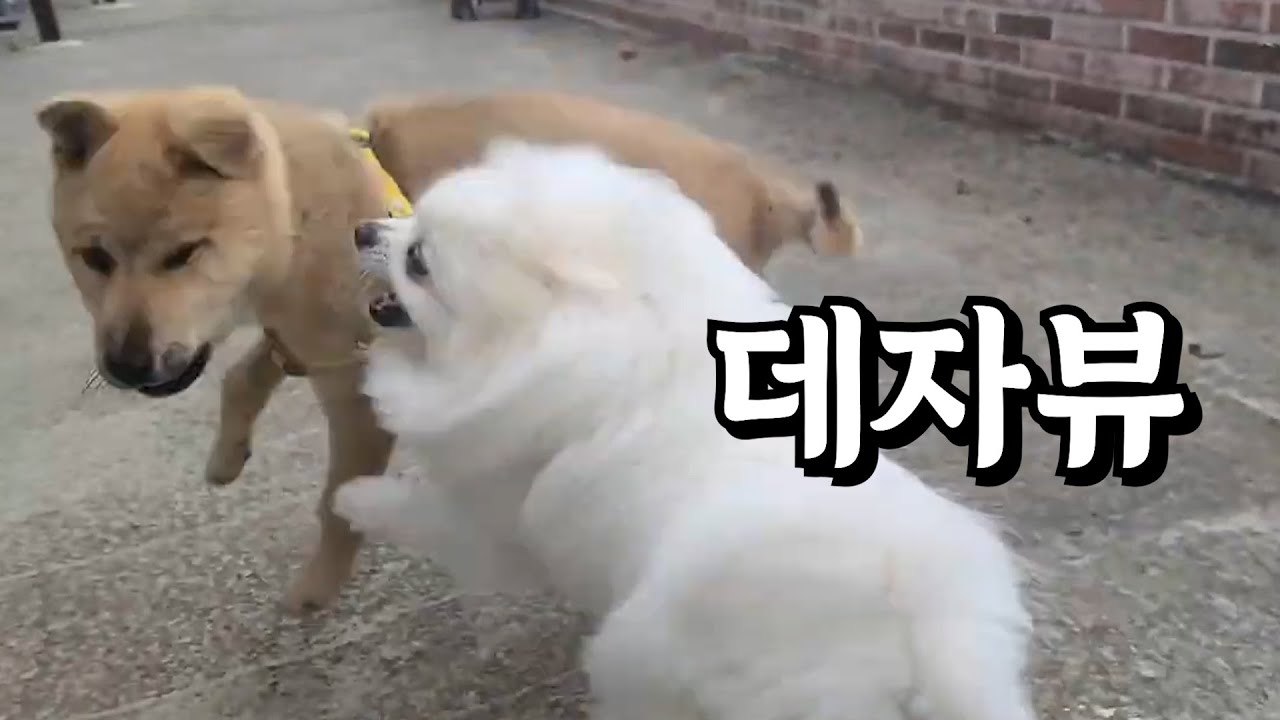 올해 마무리 우리들의 연말