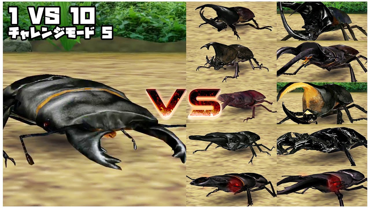 甲虫王者ムシキング -  1 VS 10 チャレンジモード5 - アルキデスオオヒラタクワガタ｜Mushiking